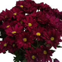 цветы Барановичи, как заказать цветы в Барановичах