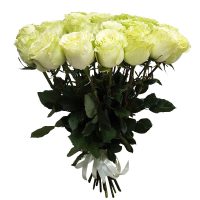 белые розы в Барановичах