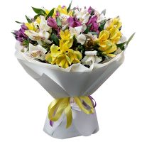 доставка альстромерии в Барановичах