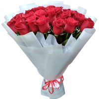 красивые розы в Барановичах